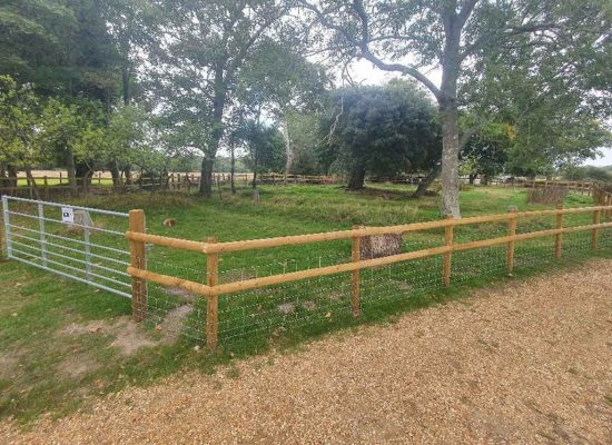 wire-fencing-min wire fencing